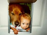 Hundeklappe