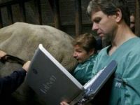 Toller Platz fürs Notebook