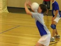 Volleyballprofi