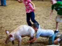 Auf das Schwein