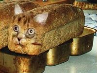 Kas(tz)ten Brot