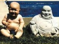 Little Buddah