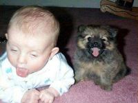 Kind und Hund