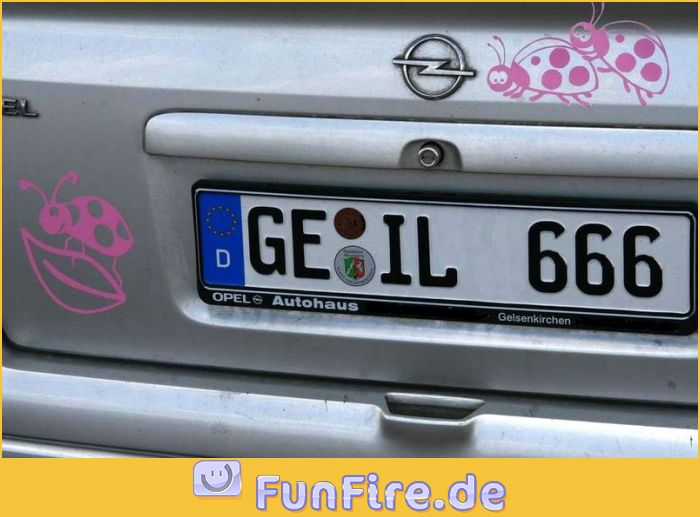 Käfersex auf Auto