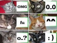 Katzensmilies