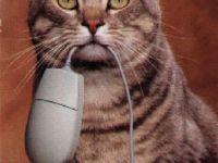 Maus gefangen.