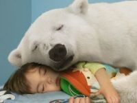 Mit Eisbär kuscheln