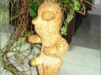 Lustige Kartoffel